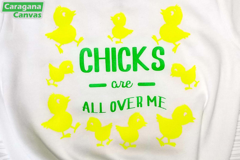 "Chicks are all over me" on baby body suit
